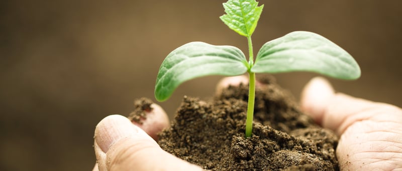 Using Lead Nurturing to Support the Buyer Journey