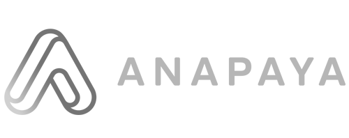 anapaya-logo-grey