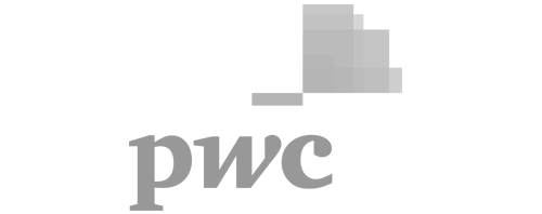 pwc-logo-grey