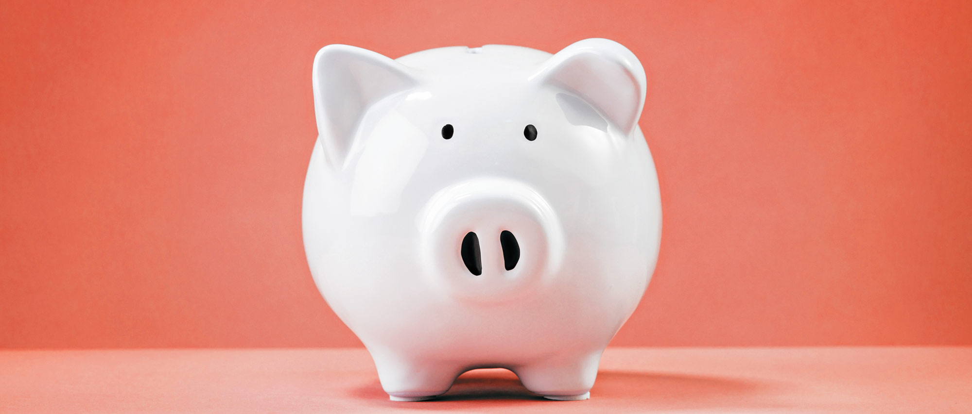 banner-piggy-bank
